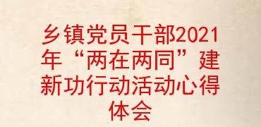 乡镇党员干部2021年两在两同建新功行动活动心得体会