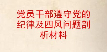 党员干部遵守党的纪律及四风问题剖析材料