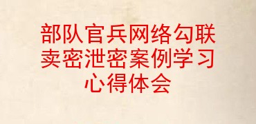 部队官兵网络勾联卖密泄密案例学习心得体会