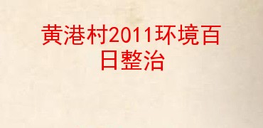 黄港村2011环境百日整治