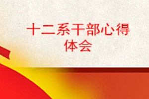 十二系干部心得体会