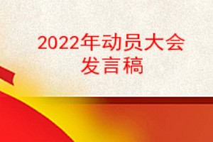 类似的工作总结,年终总结以及2022年动员大会发言稿的相关参考文章,您