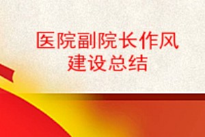 医院副院长作风建设总结