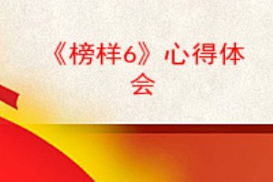 榜样6心得体会