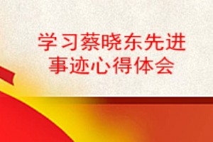 学习蔡晓东同志先进事迹心得体会