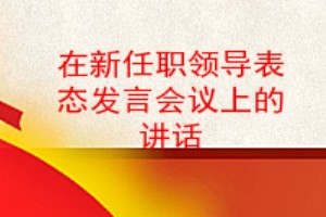 在新任职领导表态发言会议上的讲话