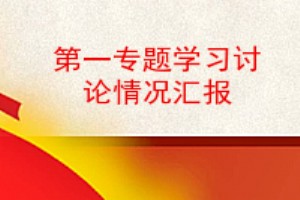 第一专题学习讨论情况汇报