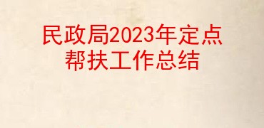 民政局2023年定点帮扶工作总结