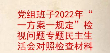 党组班子2022年“一方案一规定”检视问题专题民主生活会对照检查材料