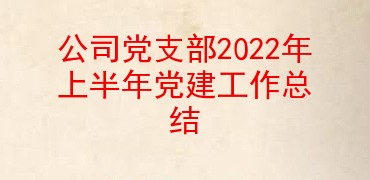 公司党支部2022年上半年党建工作总结