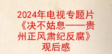 2024年电视专题片《决不姑息――贵州正风肃纪反腐》观后感
