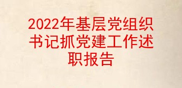2022年基层党组织书记抓党建工作述职报告