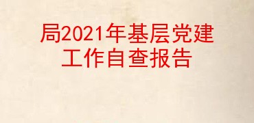 局2021年基层党建工作自查报告