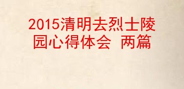 2015清明去烈士陵園心得體會兩篇