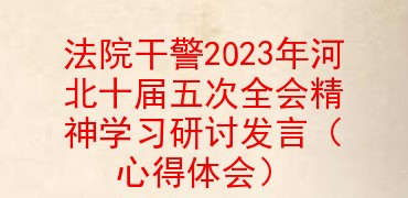 法院干警2023年河北省委十届五次全会精神学习研讨发言（心得体会）