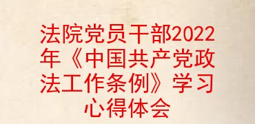 法院党员干部2022年《中国共产党政法工作条例》学习心得体会