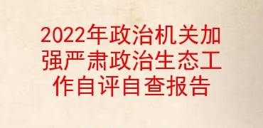 2022年政治机关加强严肃政治生态工作自评自查报告