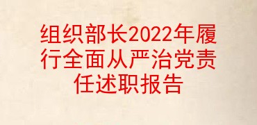 组织部长2022年履行全面从严治党责任述职报告
