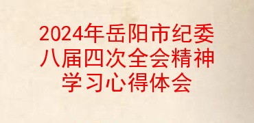 2024年岳阳市纪委八届四次全会精神学习心得体会
