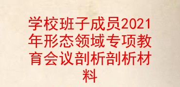 学校班子成员2021年意识形态领域专项教育组织生活会对照检查剖析材料