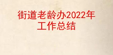 街道老龄办2022年工作总结