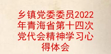 乡镇党委委员2022年青海省第十四次党代会精神学习心得体会