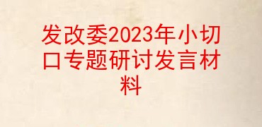 发改委2023年小切口专题研讨发言材料