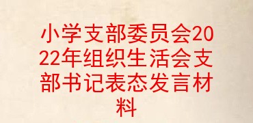 小学支部委员会2022年组织生活会支部书记表态发言材料