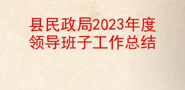 县民政局2023年度领导班子工作总结
