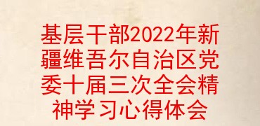 基层干部2022年新疆维吾尔自治区党委十届三次全会精神学习心得体会