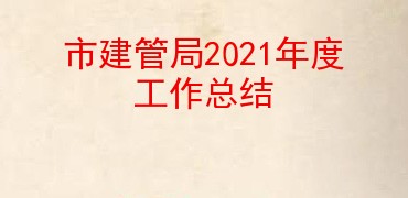 市建管局2021年度工作总结