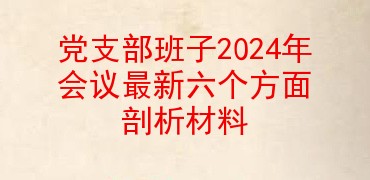 党支部班子2024年组织生活会最新六个方面对照检查材料