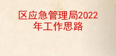 区应急管理局2022年工作思路