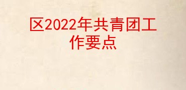 区2022年共青团工作要点