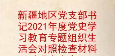 新疆地区党支部书记2021年度党史学习教育专题组织生活会对照检查材料(对照党中央和习近平总书记的号召和要求、入党誓词、革命先辈和先进典型等四个方面)
