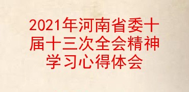 2021年河南省委十届十三次全会精神学习心得体会