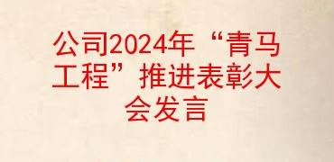 公司2024年“青马工程”推进表彰大会发言