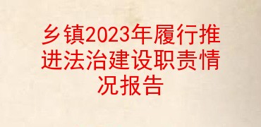 乡镇党委书记2023年履行推进法治建设职责情况报告