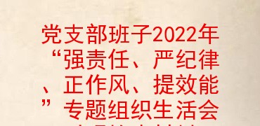 党支部班子2022年“强责任、严纪律、正作风、提效能”专题组织生活会对照检查材料