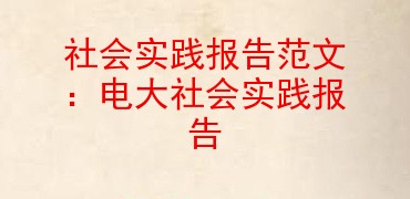 社会实践报告范文电大社会实践报告