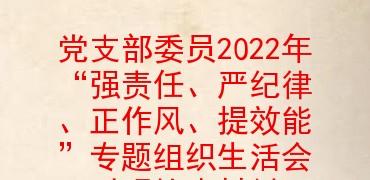党支部委员2022年“强责任、严纪律、正作风、提效能”专题组织生活会对照检查材料