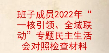 班子成员2022年“一核引领、全域联动”专题民主生活会对照检查材料