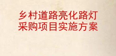 乡村道路亮化路灯采购项目实施方案