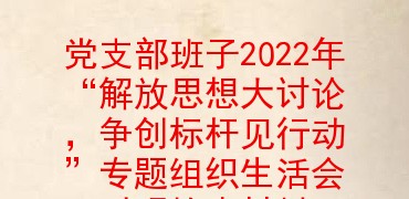 党支部班子2022年“解放思想大讨论，争创标杆见行动”专题组织生活会对照检查材料