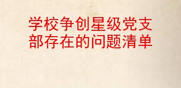 学校争创星级党支部存在的问题清单