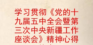 学习贯彻《党的十九届五中全会暨第三次中央新疆工作座谈会》精神心得体会