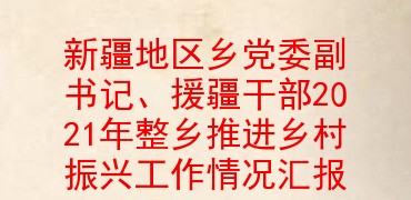 新疆地区乡党委副书记、援疆干部2021年整乡推进乡村振兴工作情况汇报