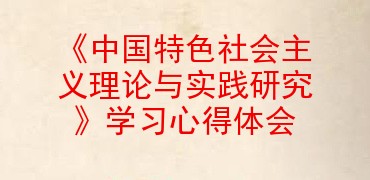 中國特色社會主義理論與實踐研究學習心得體會