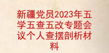 新疆党员2023年五学五查五改专题组织生活会个人查摆剖析材料