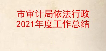 市审计局依法行政2021年度工作总结